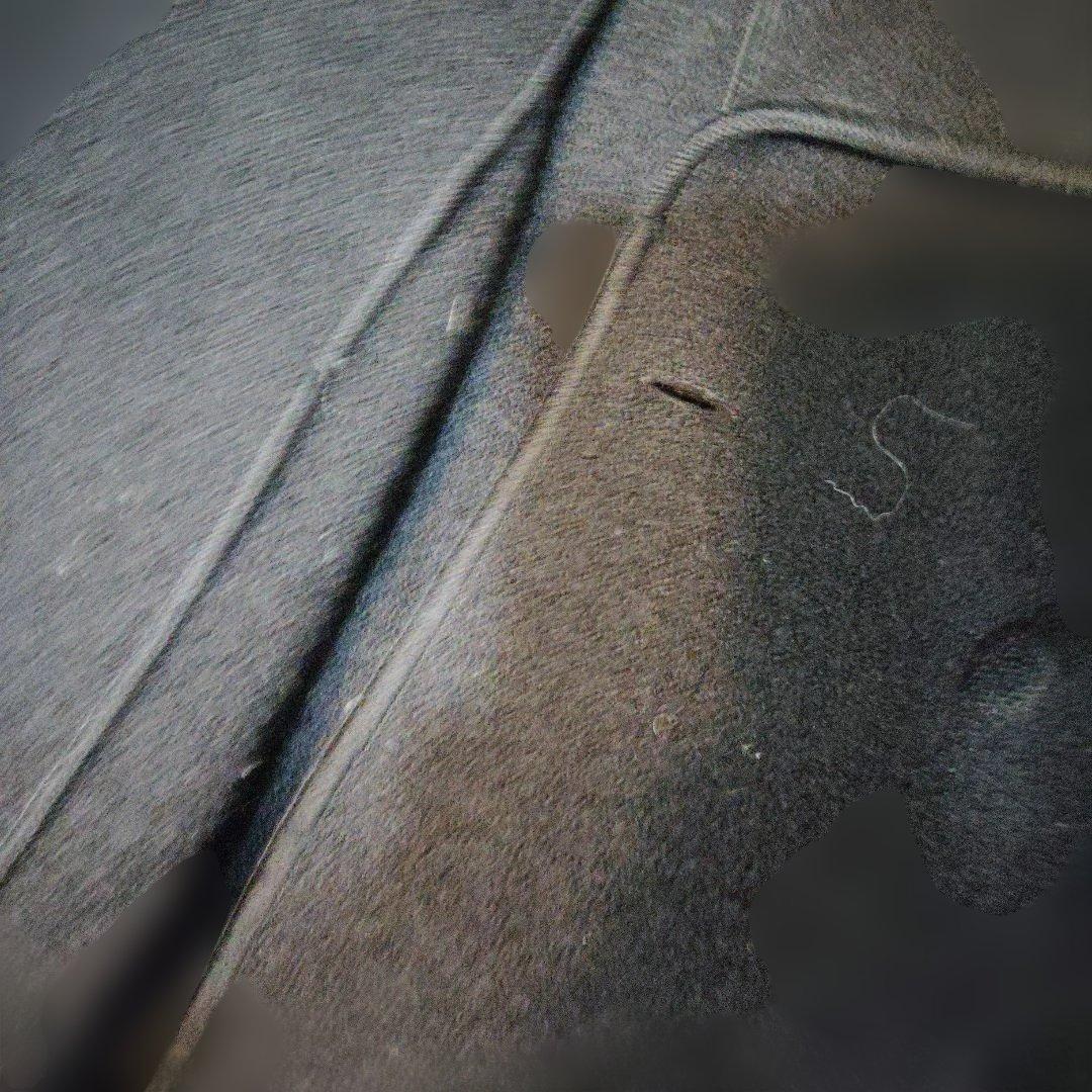 FENDI　Aラインウールロングコート　黒