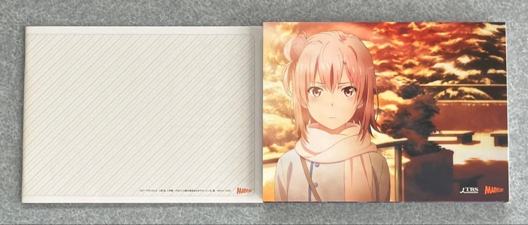 やはり俺の青春ラブコメはまちがっている。続 Blu-ray BOX〈初回限定生…