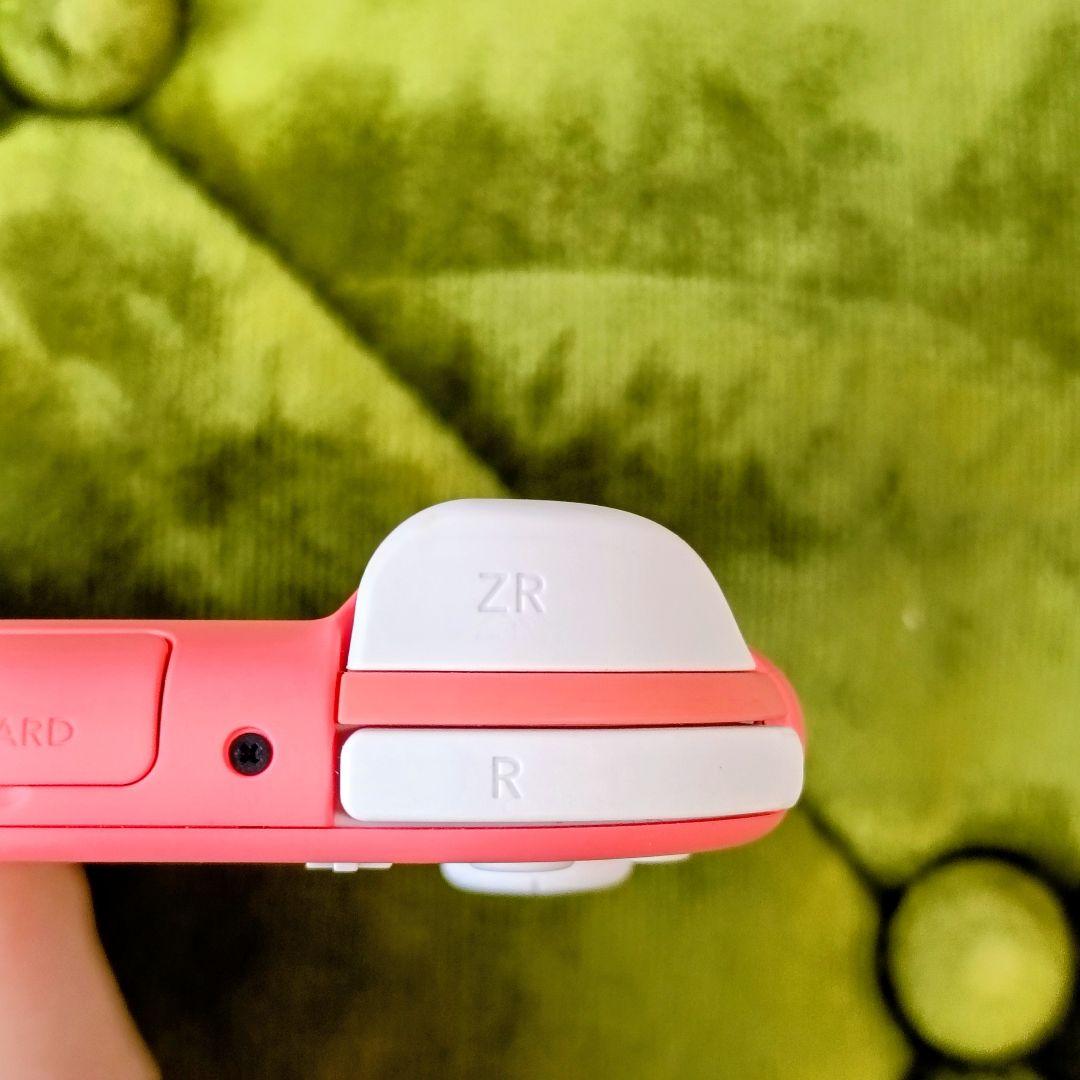 【セット】Nintendo Switch Lite 本体 あつ森キャリングケース