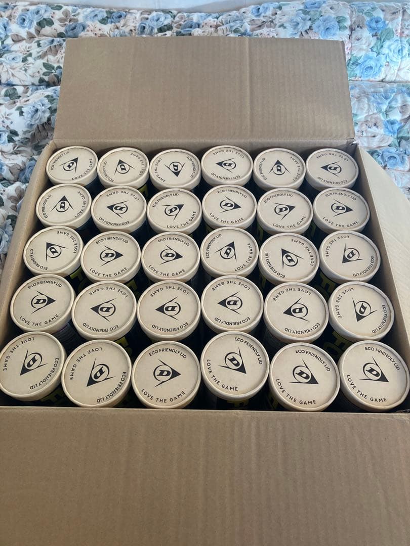 【新品】DUNLOP(ダンロップ) 硬式テニス ボール FORT 60球