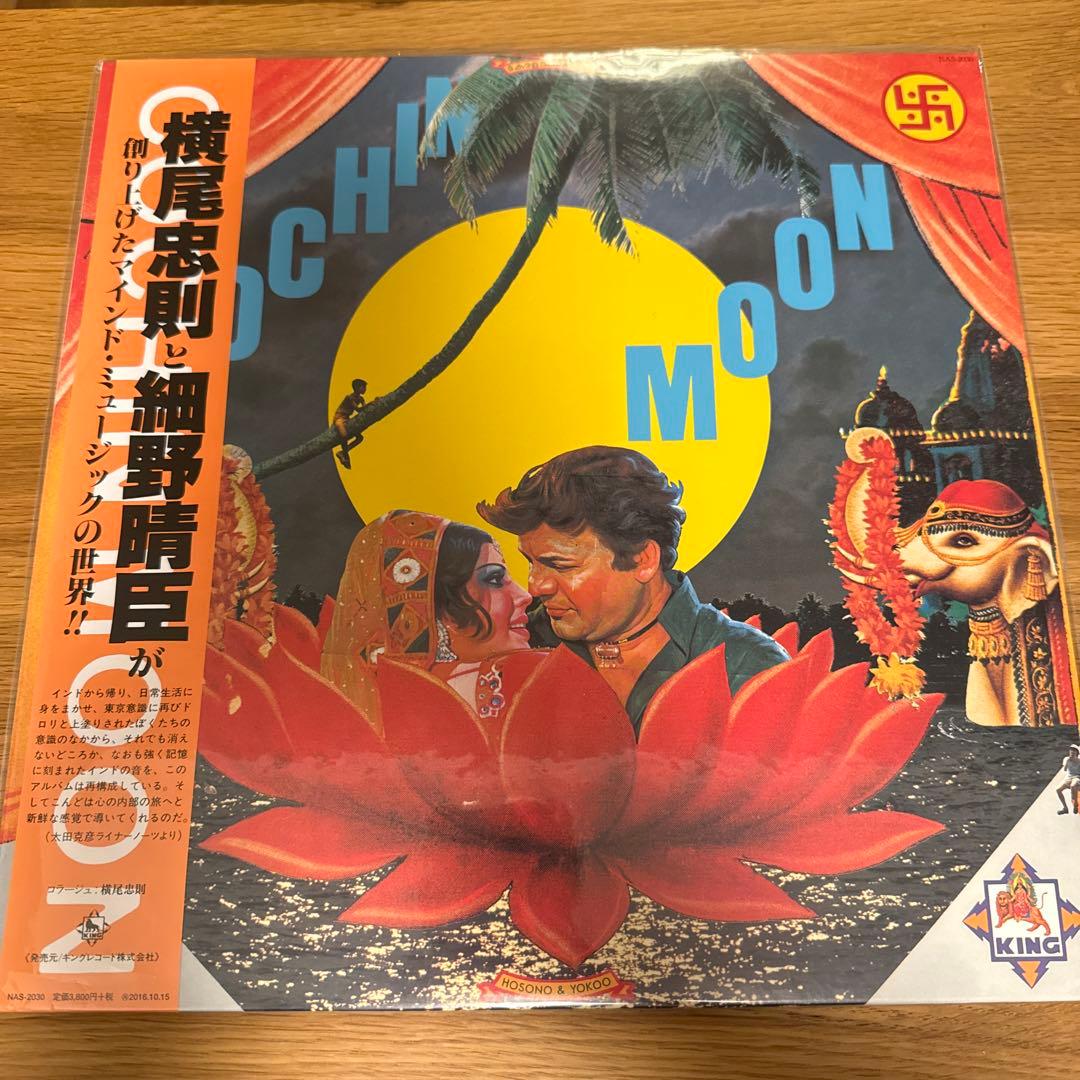 COCHIN MOON コチンの月 細野晴臣&横尾忠則アナログレコード