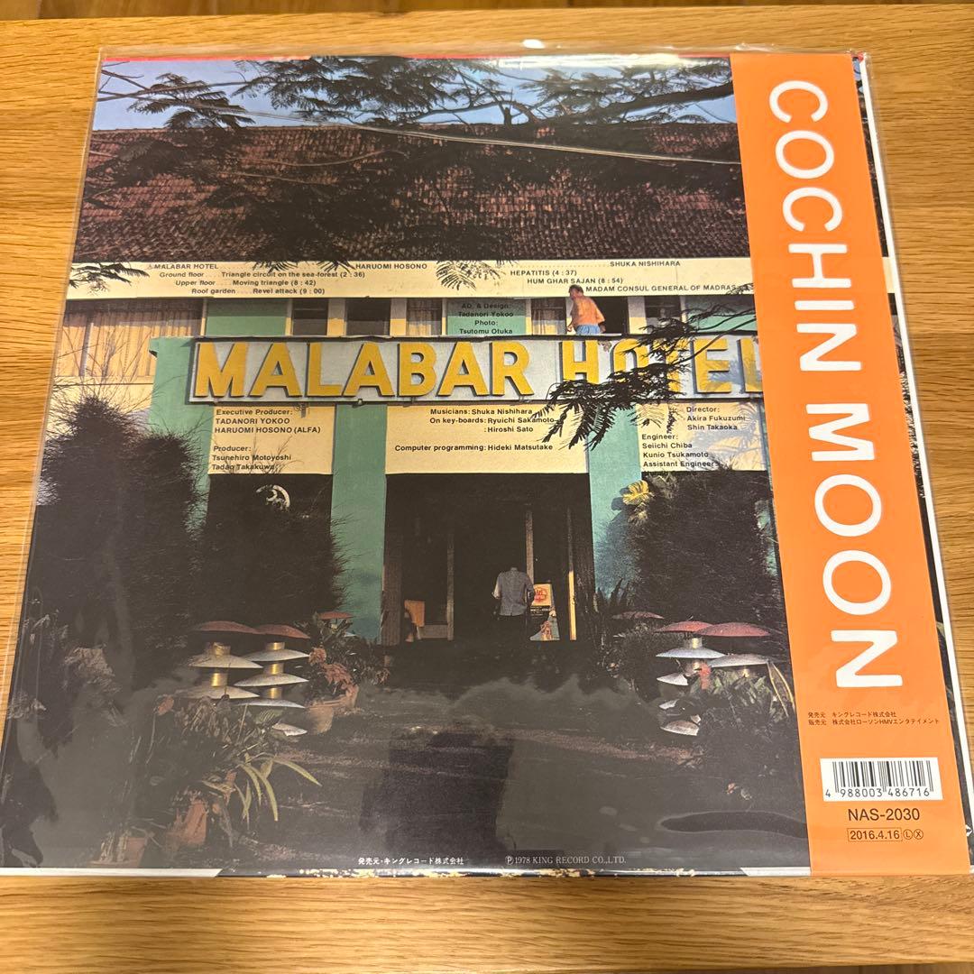 COCHIN MOON コチンの月 細野晴臣&横尾忠則アナログレコード