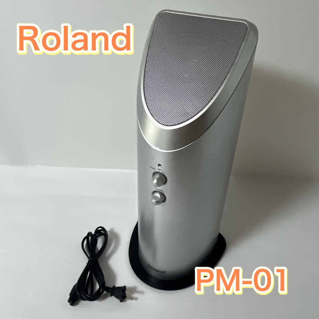 Roland ローランド PM-01 パーソナルモニター スピーカー