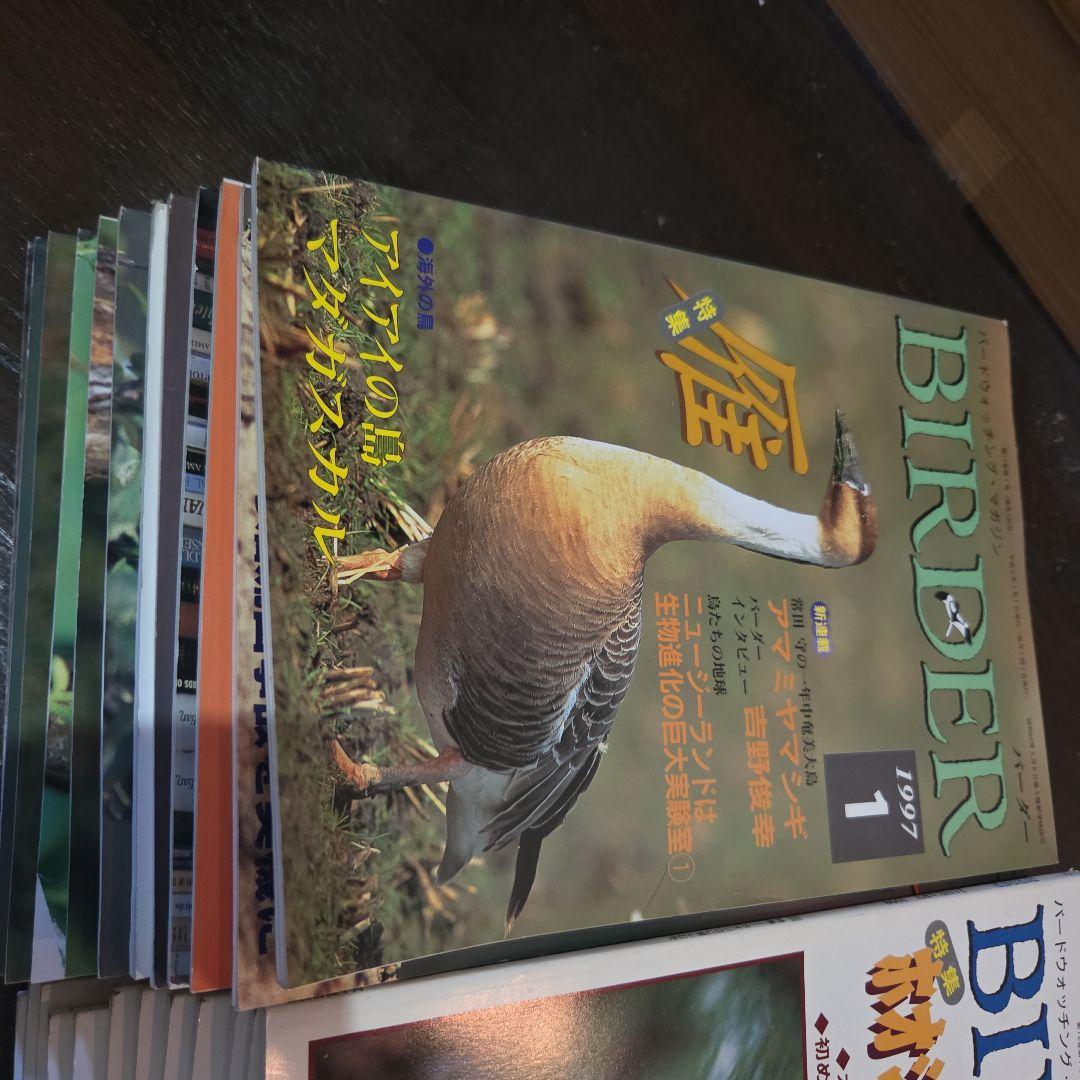 最終値下げ。BIRDER バードウォッチング 雑誌 1997-2000