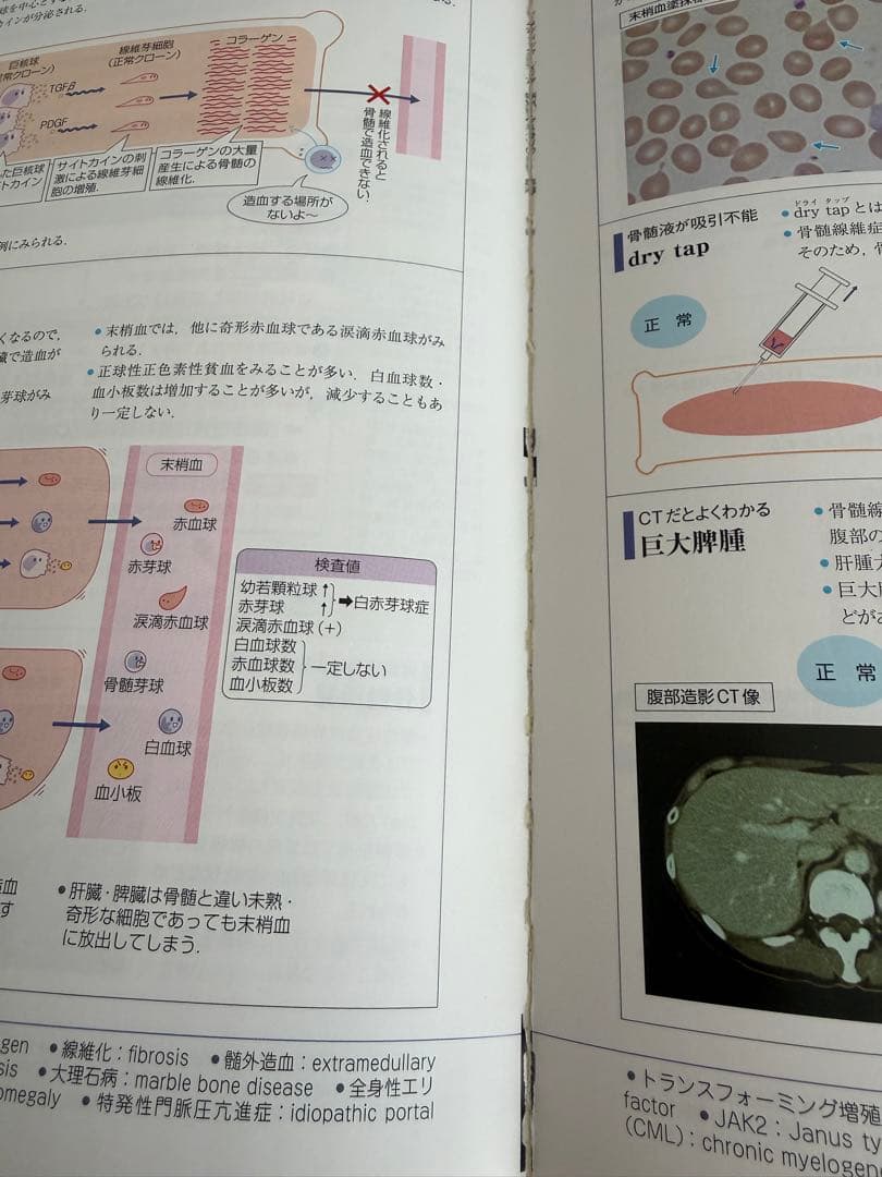 病気がみえる 全9巻セット