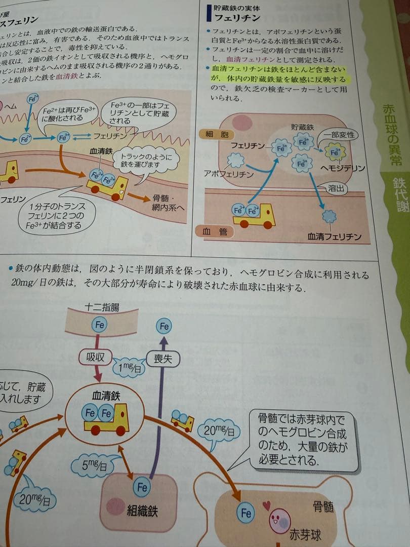 病気がみえる 全9巻セット