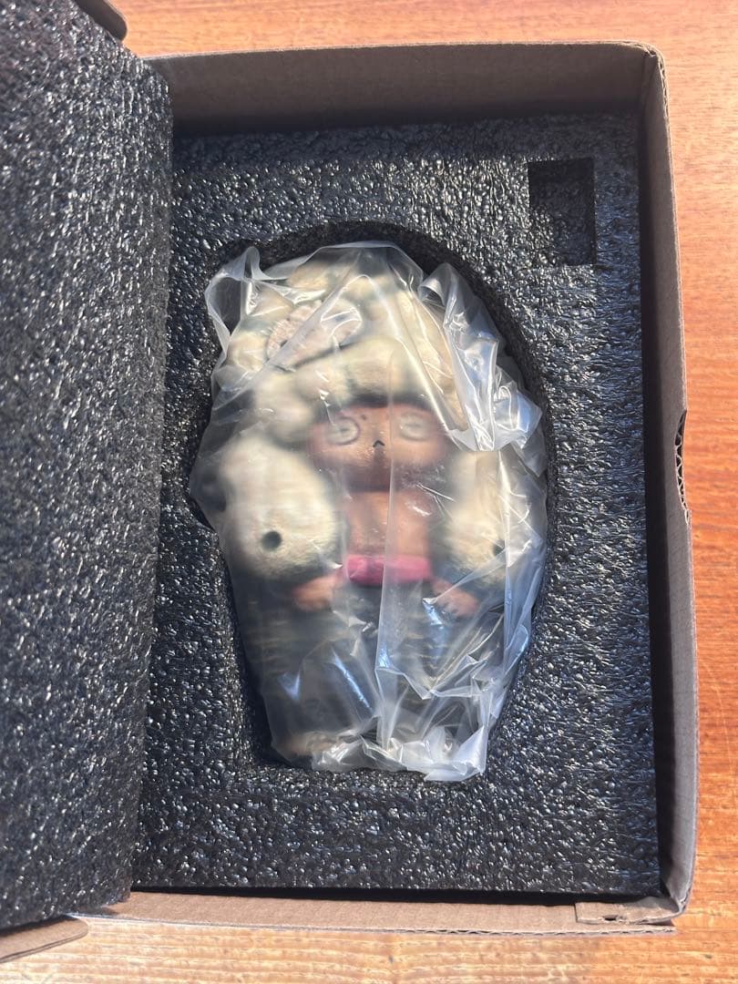 羅本製所 COPIAPOA CINEREA BLACK PRINCE