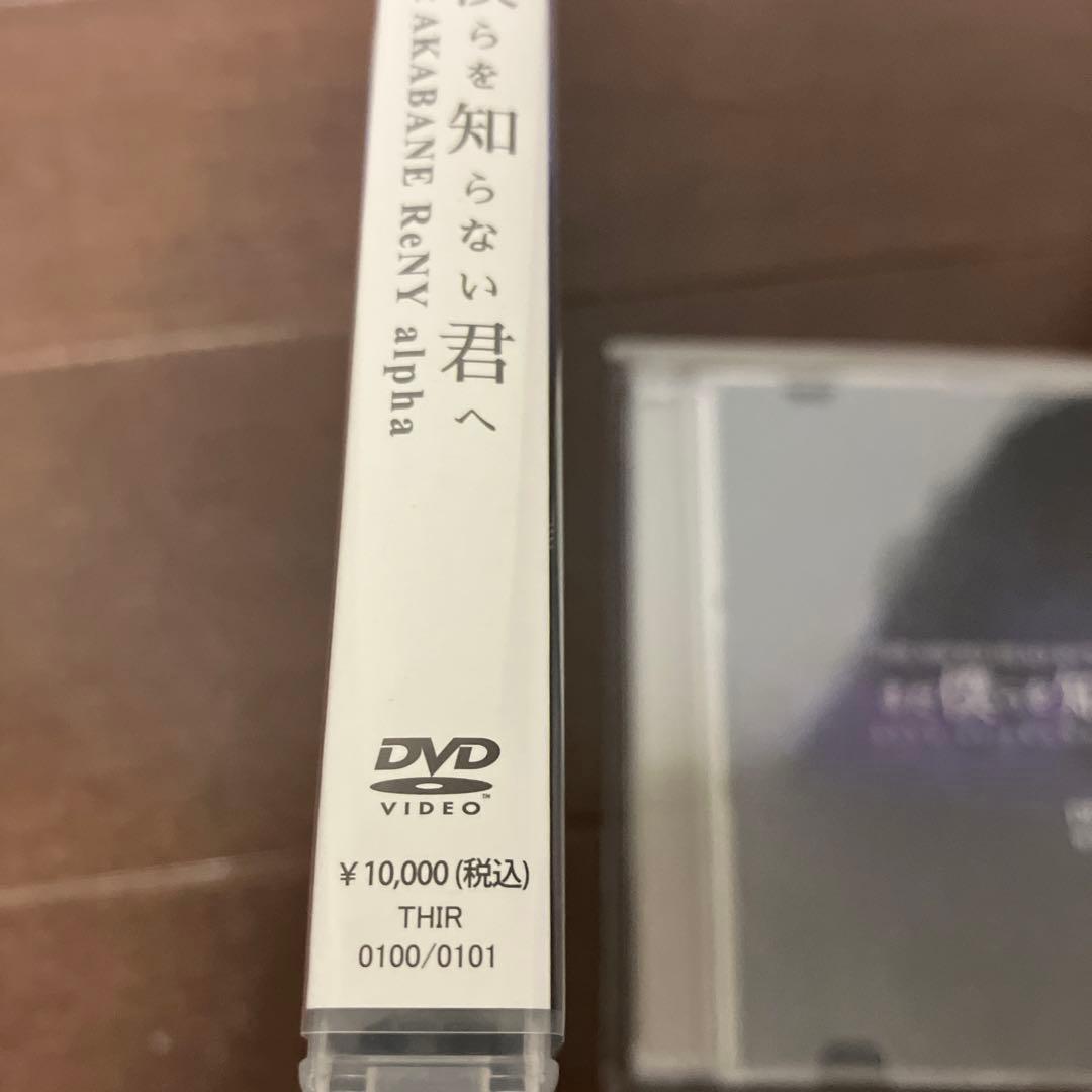 THE MICRO HEAD 4N'S ライブDVD マイクロヘッドフォンズ