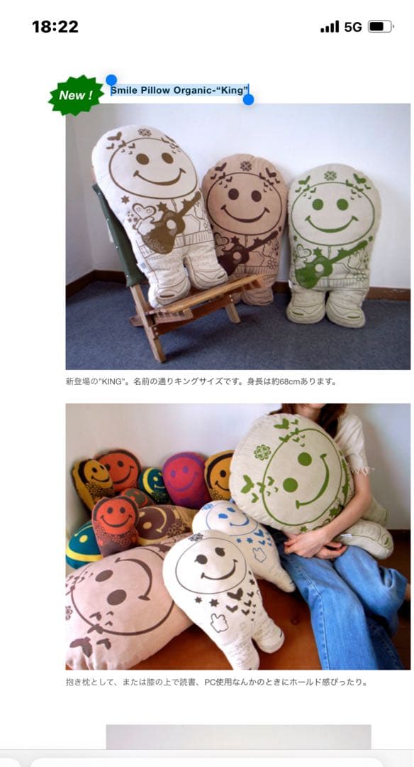 倉庫発掘 デッドストック JOINT CREATION 特大 スマイルピロー