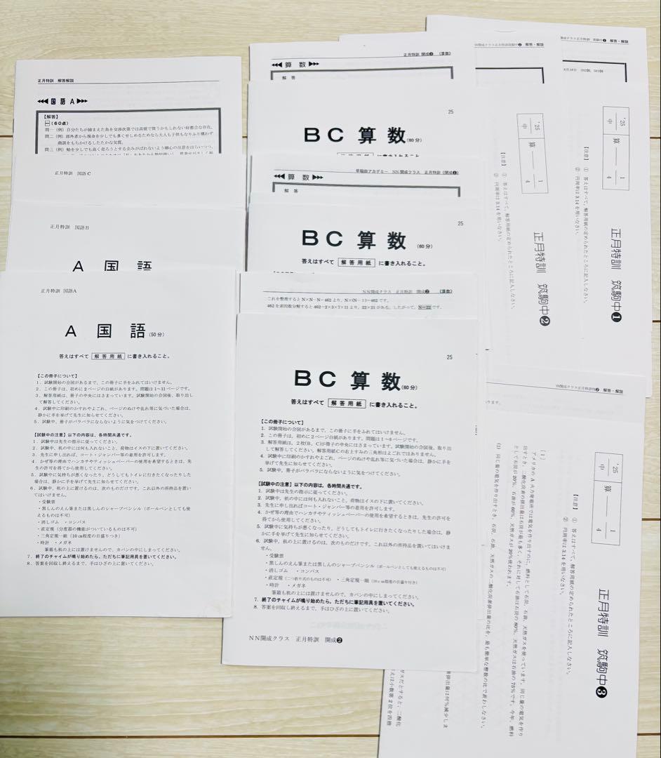 2024-2025 最新版　早稲田アカデミー　NN 開成　筑駒　正月特訓