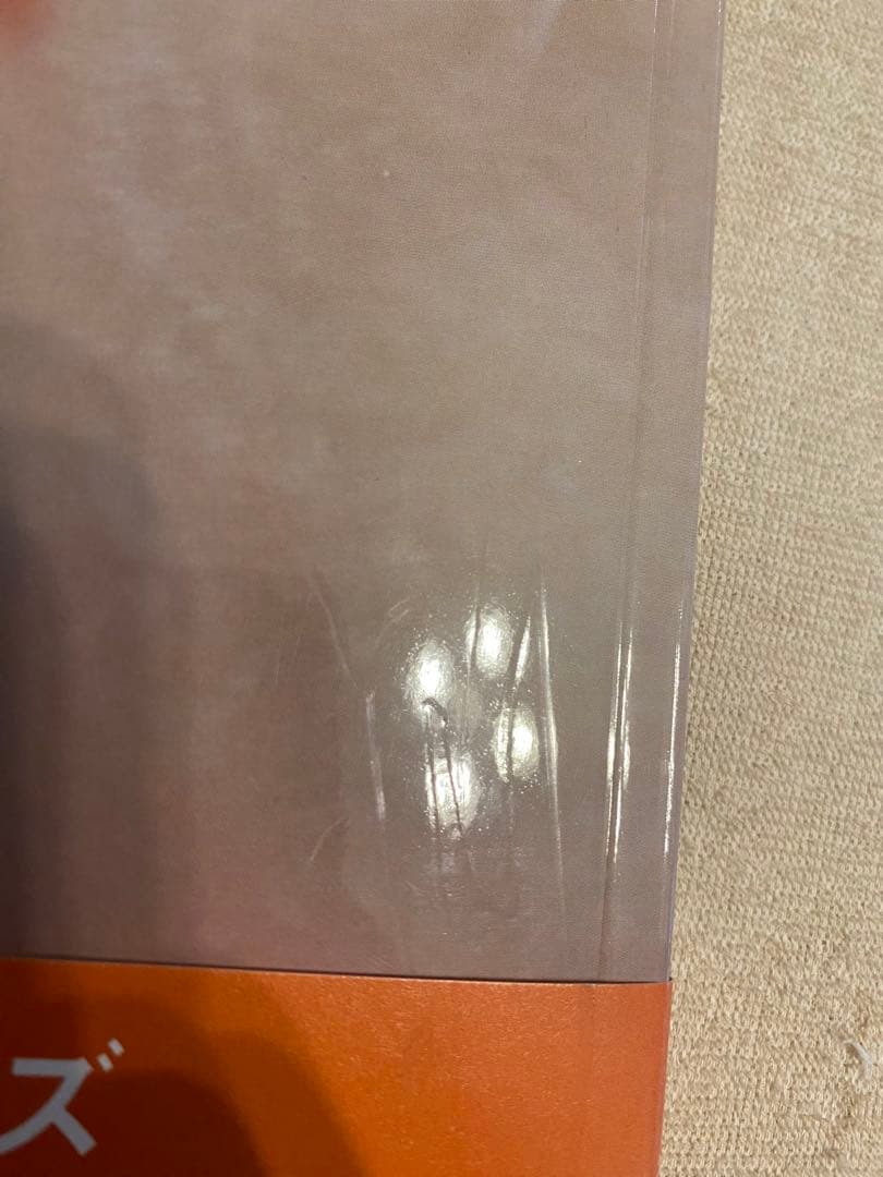 ホンマタカシ　写真集　「ベイビイランド」 リトルモア