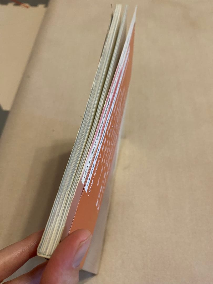 ホンマタカシ　写真集　「ベイビイランド」 リトルモア