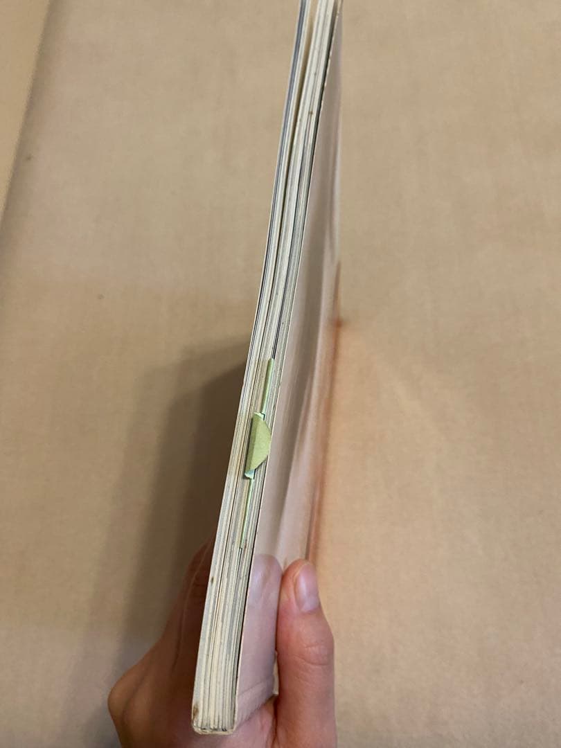 ホンマタカシ　写真集　「ベイビイランド」 リトルモア