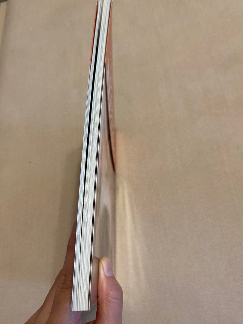 ホンマタカシ　写真集　「ベイビイランド」 リトルモア