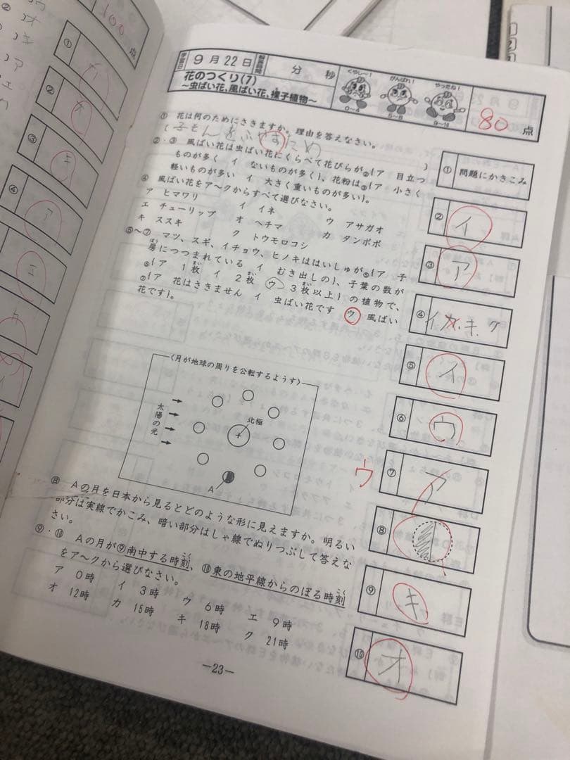 廃盤　サピックス５年理科基礎力トレーニング　年間12冊　2008年中古