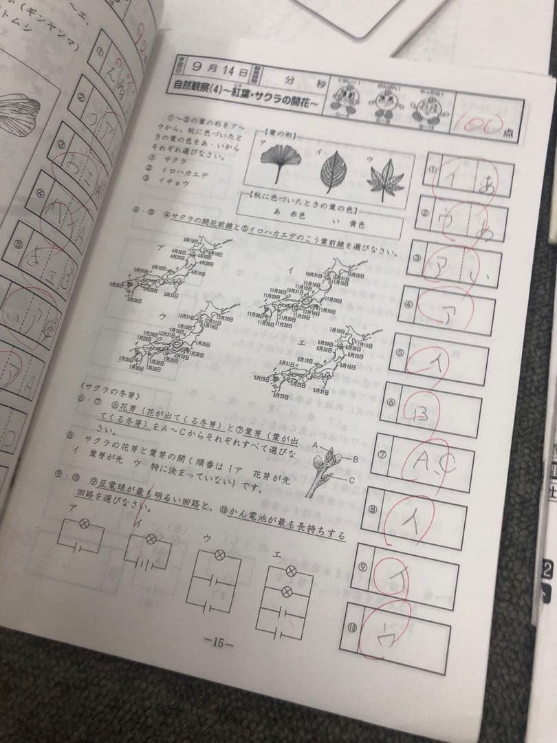 廃盤　サピックス５年理科基礎力トレーニング　年間12冊　2008年中古