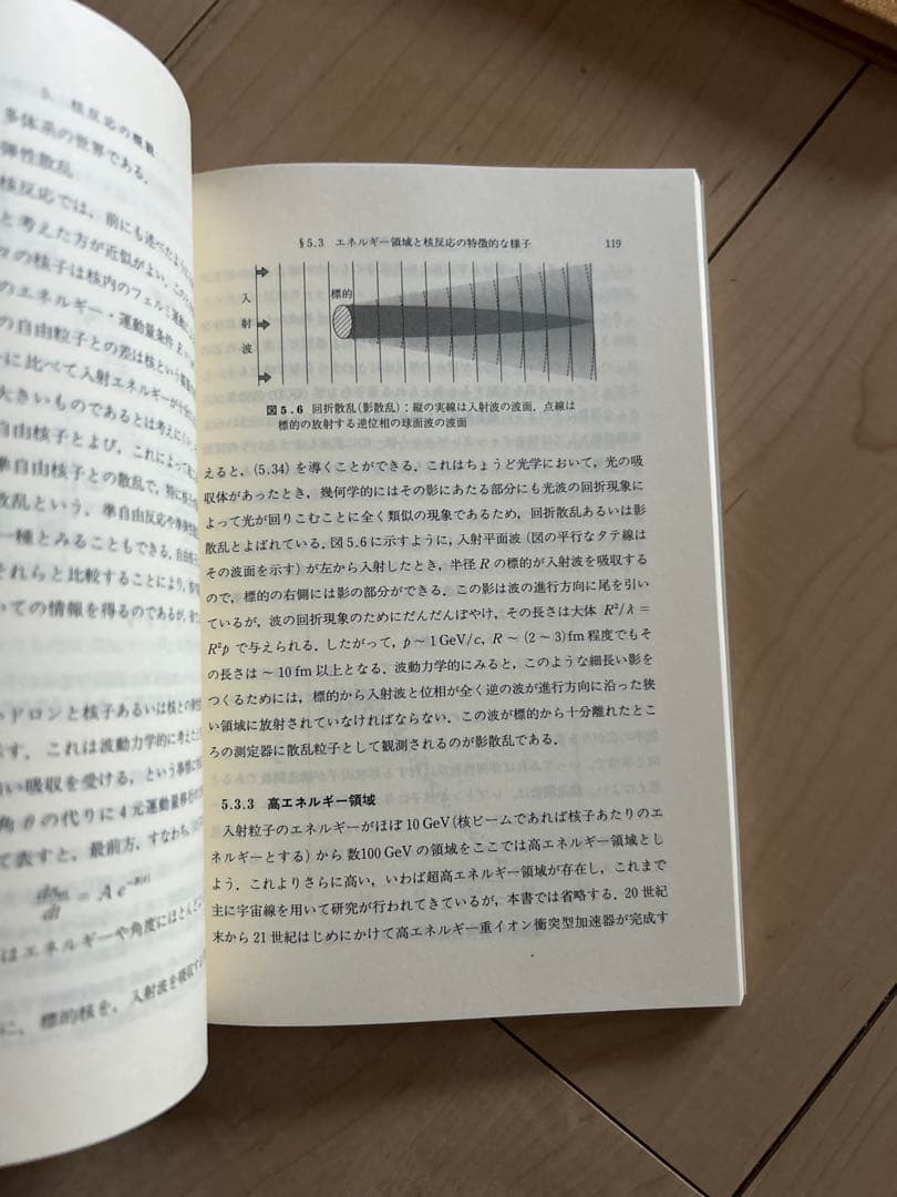 原子核物理入門