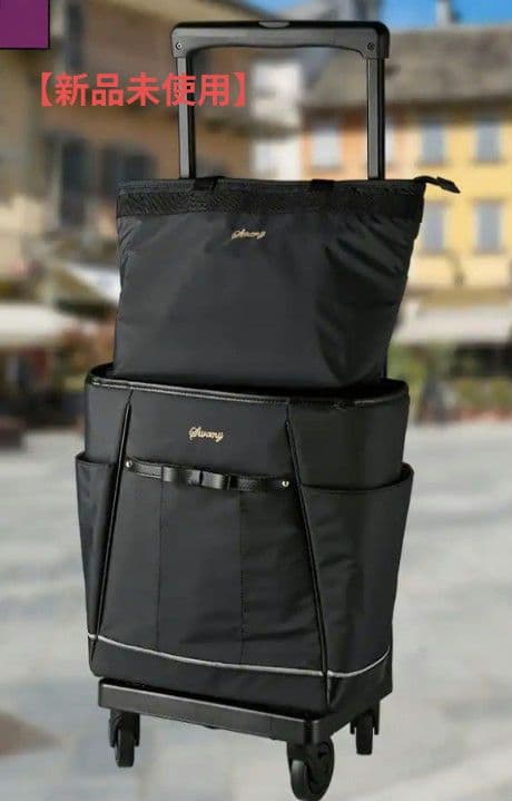 【新品未使用】Swany スワニー　ブラックキャリーケース