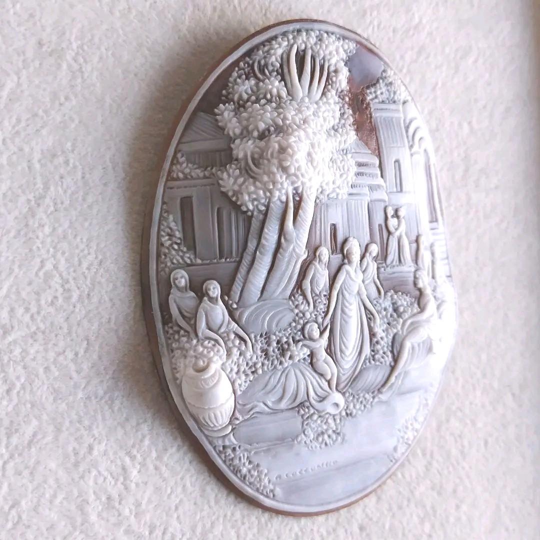 穏やかな日　シェル　カメオ　ルース