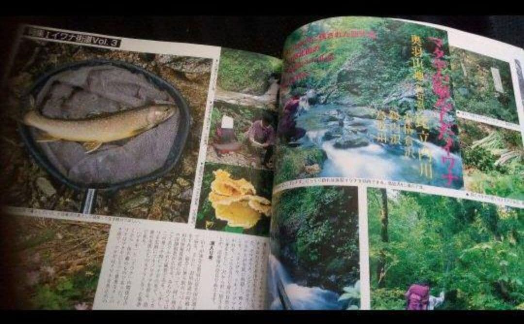 ▼希少 みちのく遊学’97 植野稔の山釣りシリーズ 渓流 釣り 八久和川 ⑤a