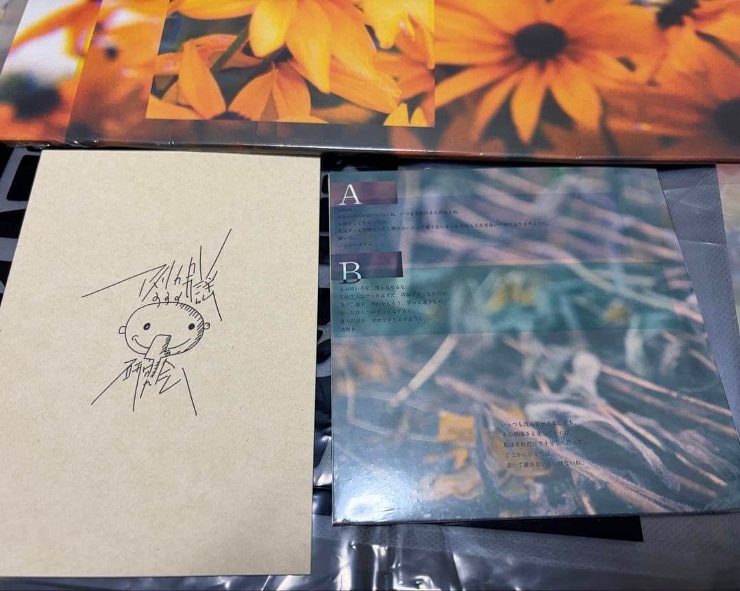 「息をして。音を、歌うから。」アメリカ民謡研究会　レコード＋CD＋本　未開封品