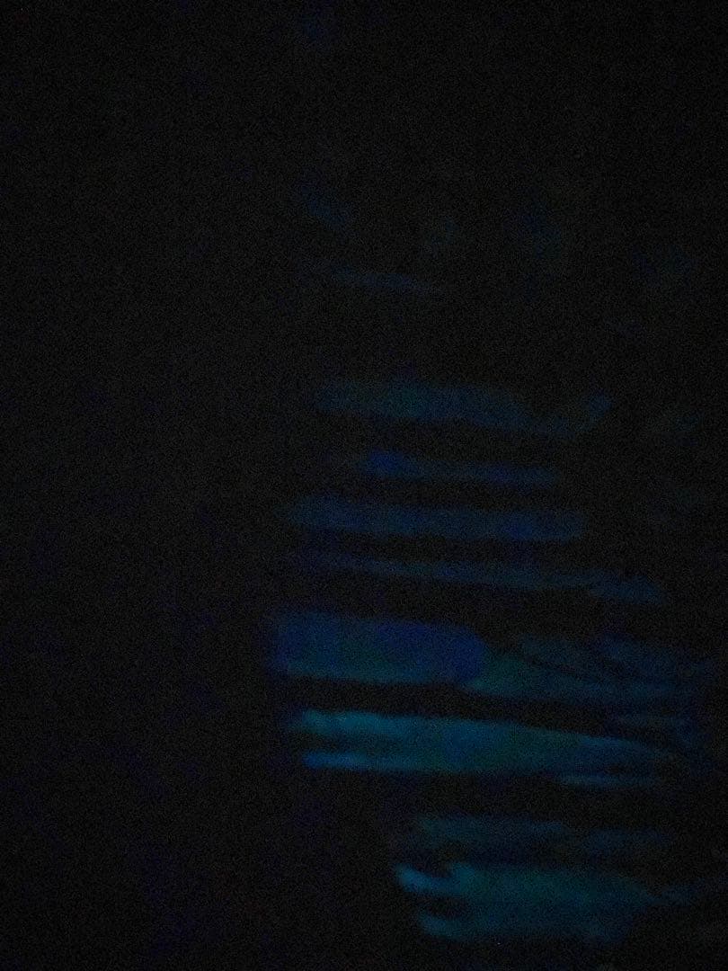 【Celt.】もののけ姫　台湾限定ポスター　85x62cm