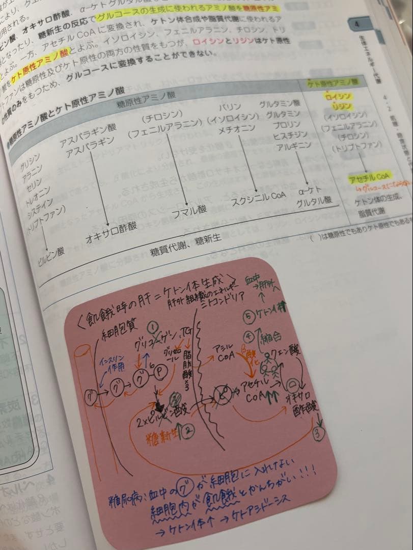 第110回薬剤師国家試験対策 青本・青問 全巻セット(おまけ付き)