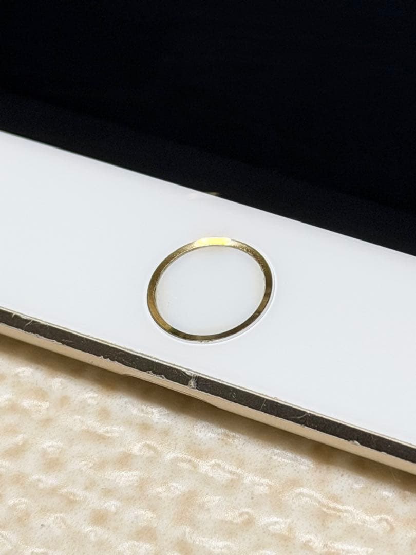 iPad Pro 10.5インチ ゴールド 256GB 本体