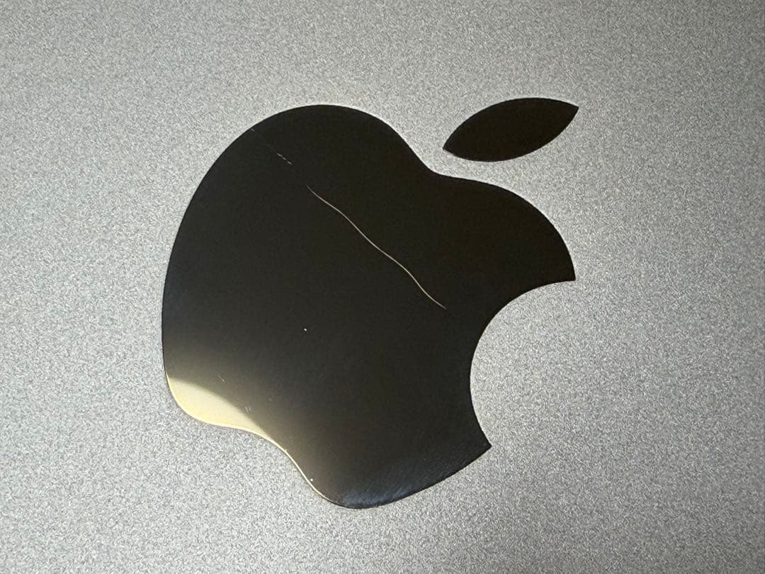 iPad Pro 10.5インチ ゴールド 256GB 本体