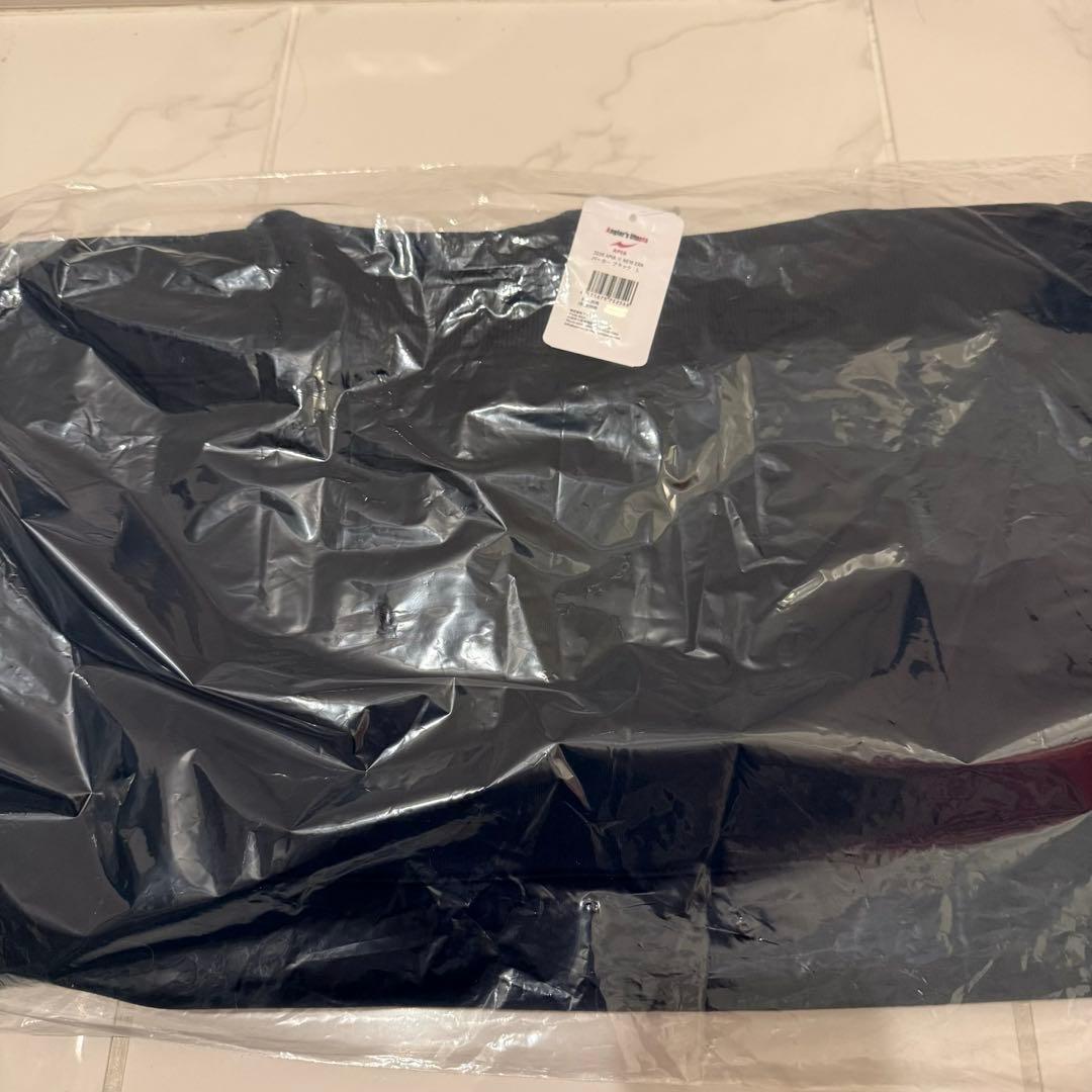 Lサイズ　apia x NEW ERA パーカー　フーディ　釣りフェス限定