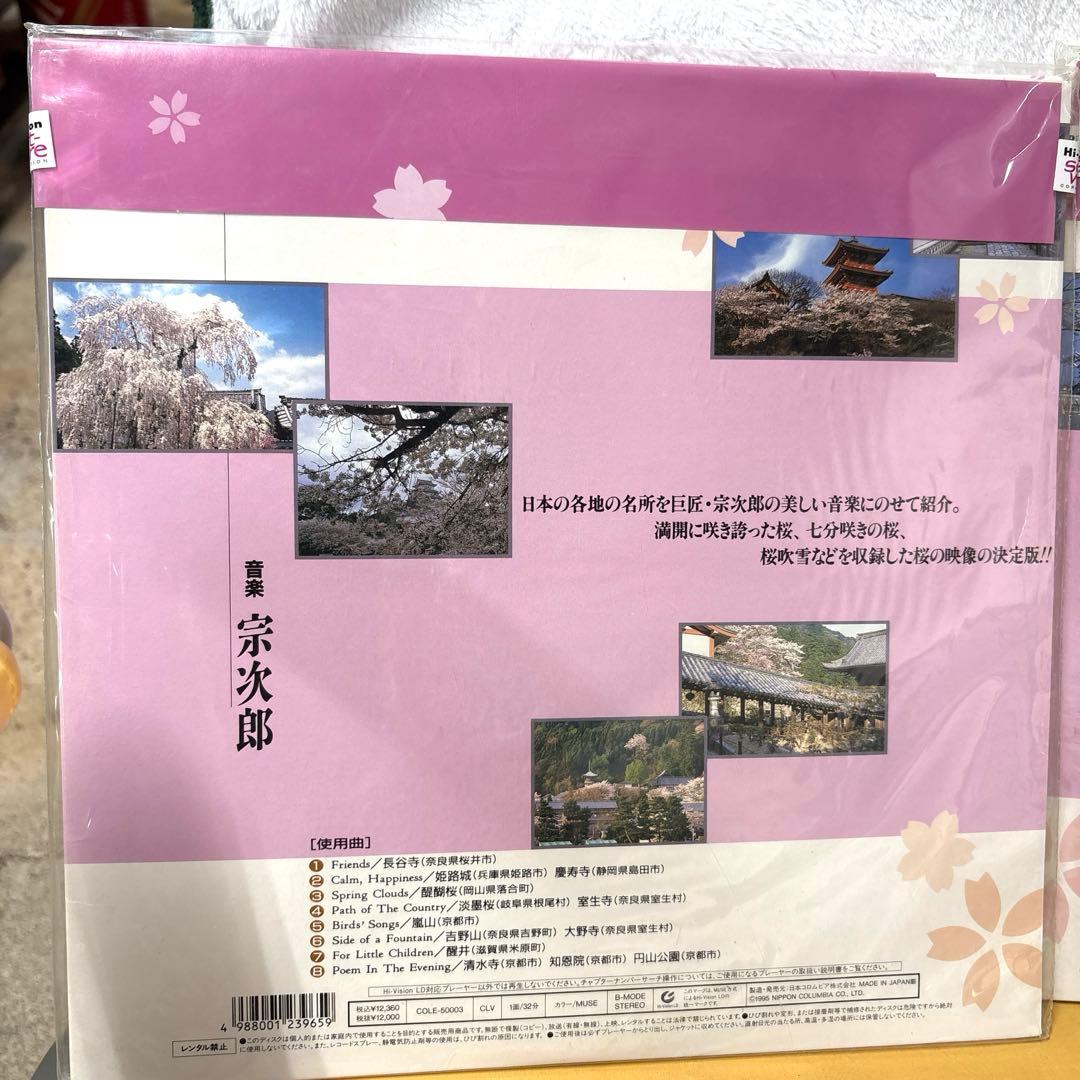 日本の美　桜2枚セット未開封　Hi-Vision