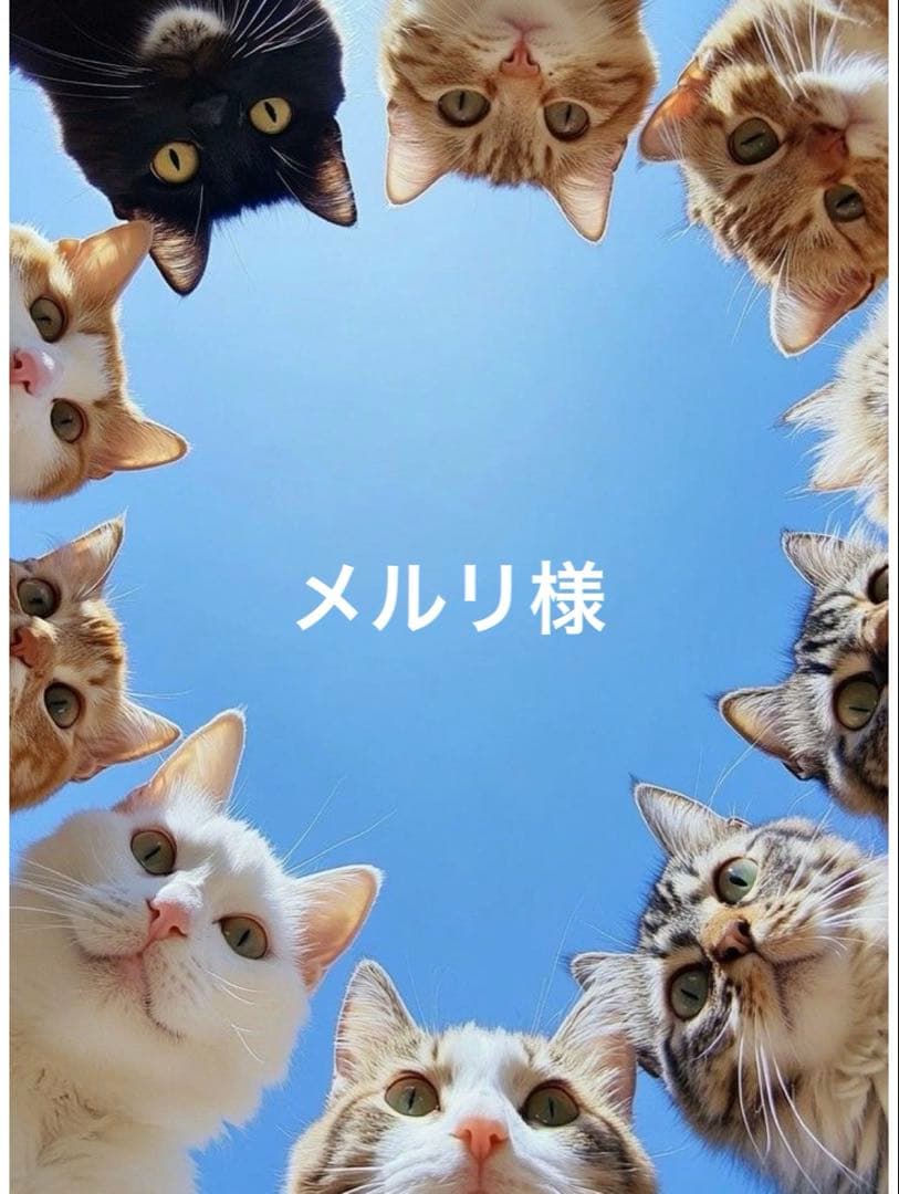 メルリ様•*¨*·͜·ᰔᩚリバティ生地·͜·ᰔᩚコー&エイト♡♡オーダー3点