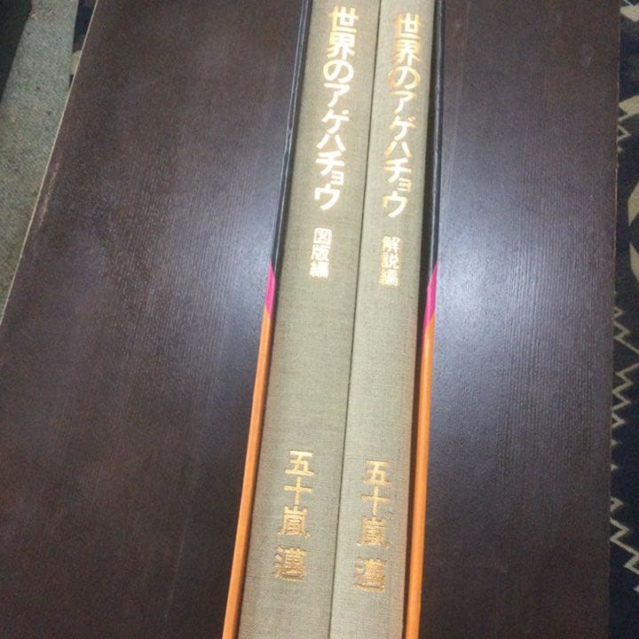 講談社  世界のアゲハチョウ  五十嵐邁（解説編・図版編）長期保管品