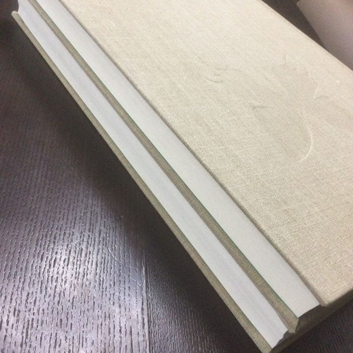 講談社  世界のアゲハチョウ  五十嵐邁（解説編・図版編）長期保管品