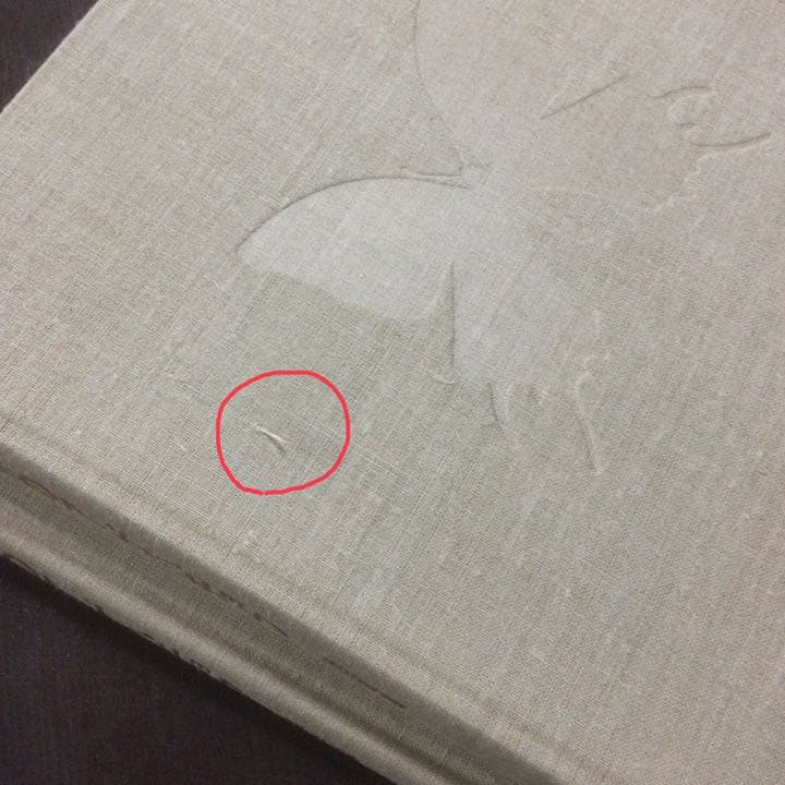 講談社  世界のアゲハチョウ  五十嵐邁（解説編・図版編）長期保管品