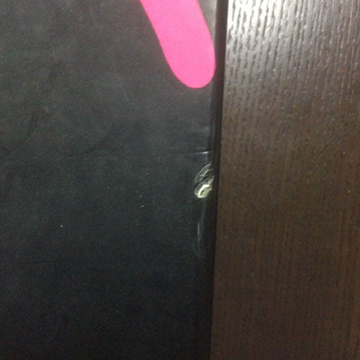 講談社  世界のアゲハチョウ  五十嵐邁（解説編・図版編）長期保管品