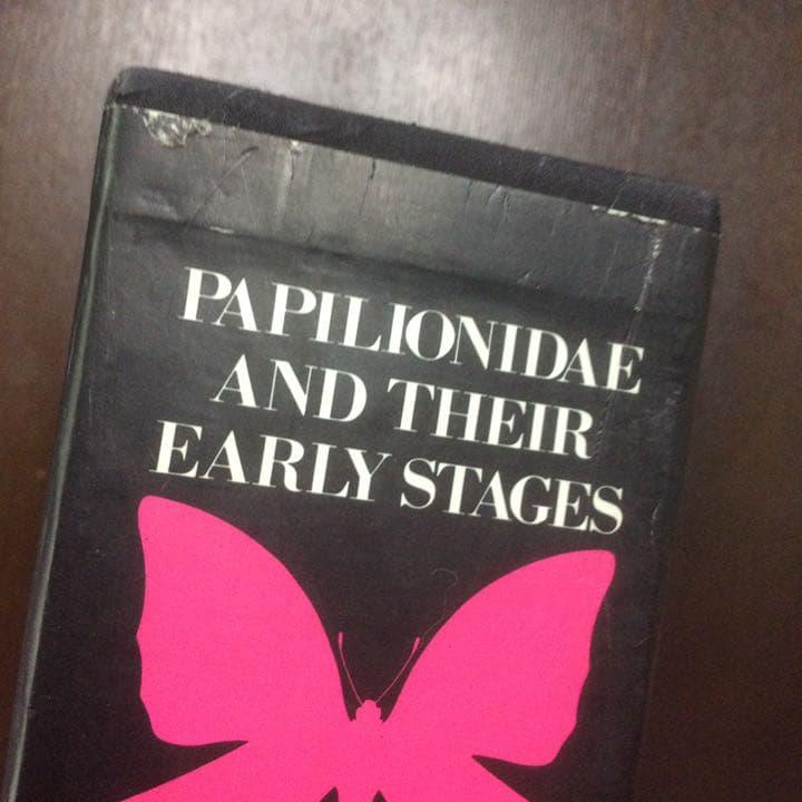 講談社  世界のアゲハチョウ  五十嵐邁（解説編・図版編）長期保管品