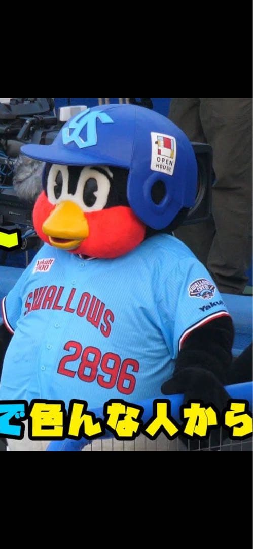 新品未開封 つば九郎 ユニフォーム　ＸＬヤクルトスワローズ正規品2896入手困難
