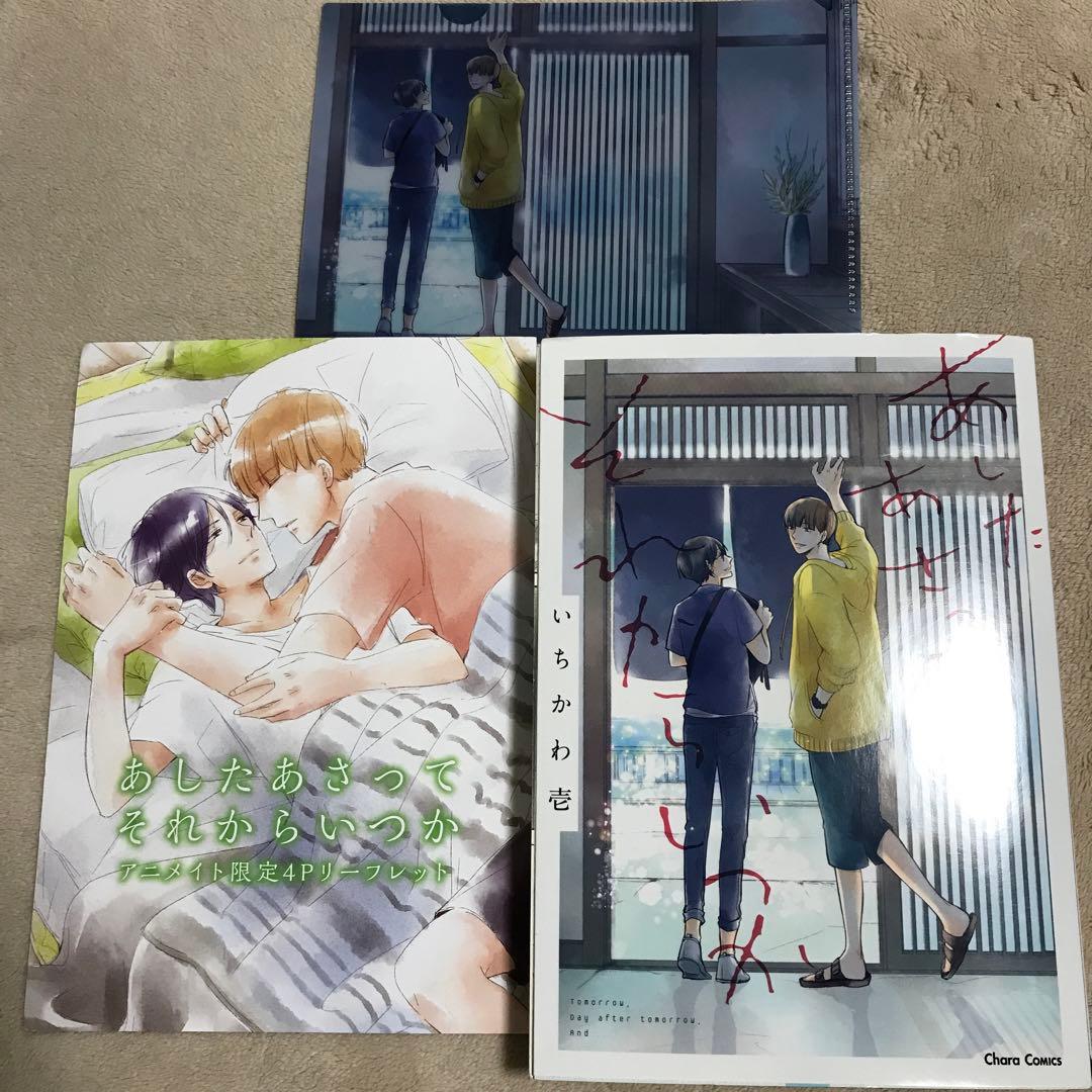 あしたあさってそれからいつか