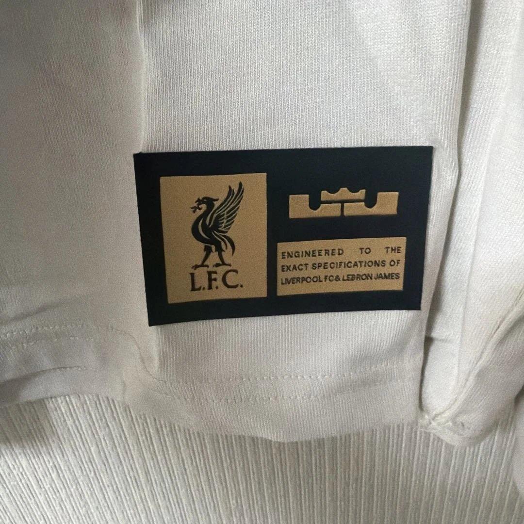 NIKE レブロン×リバプールFC Max90 Mサイズ