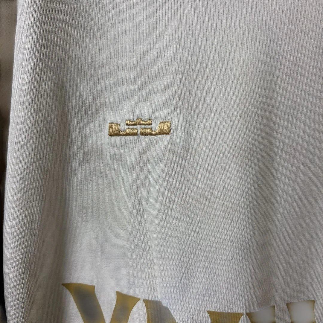 NIKE レブロン×リバプールFC Max90 Mサイズ