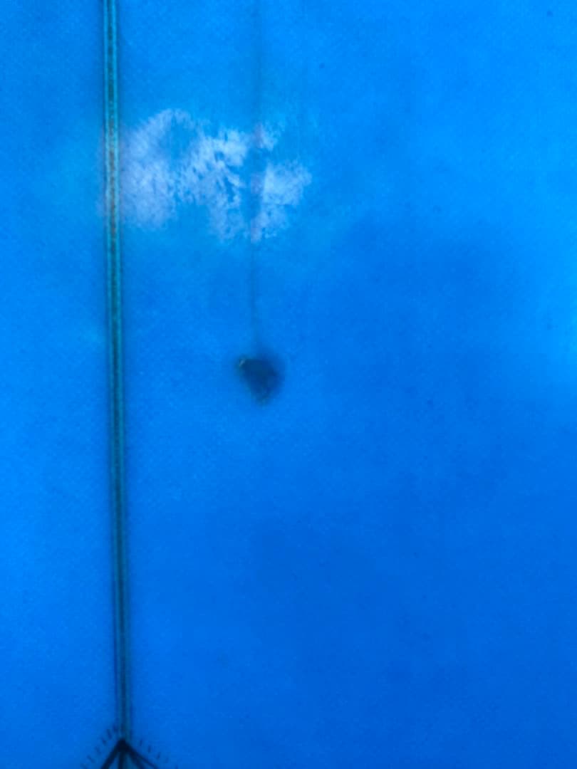 DEADKOOKS デッドクークス　PsychoCandy サイコキャンディ