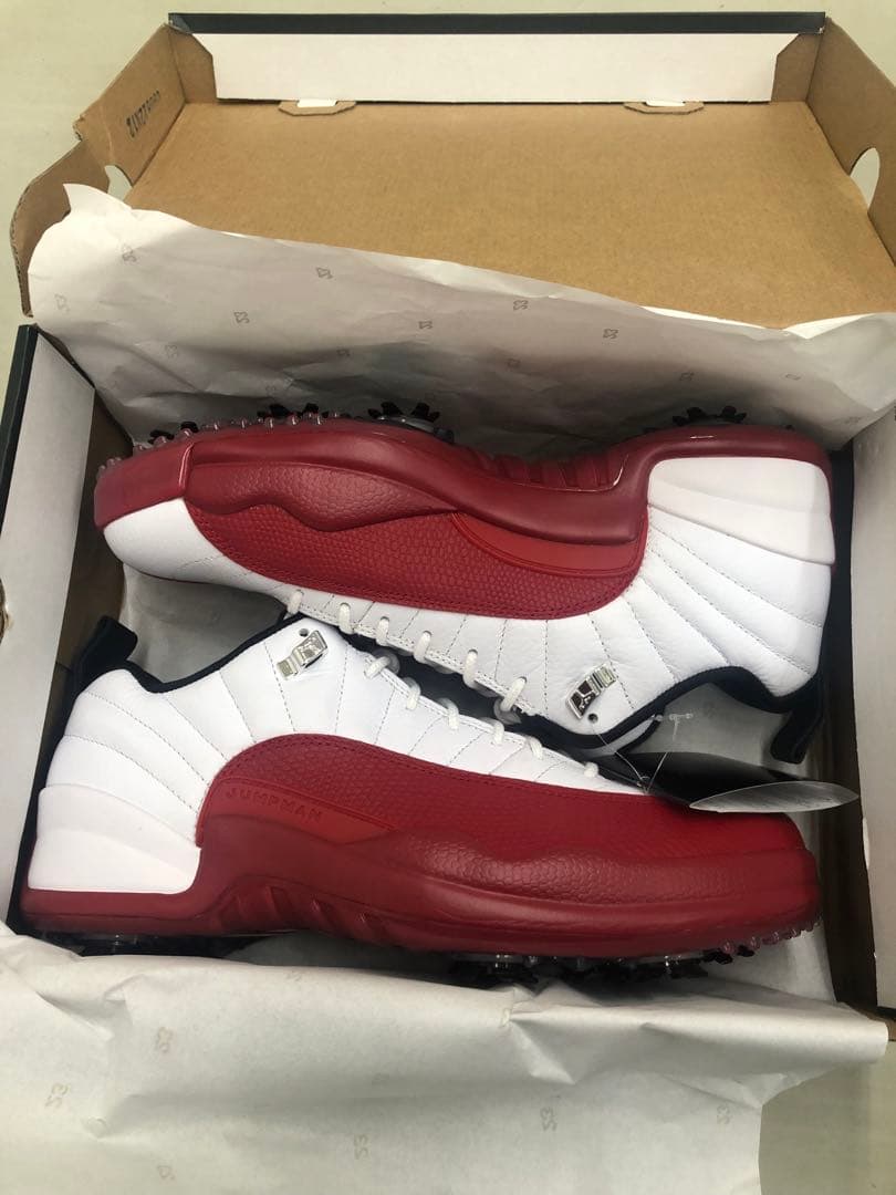 Jordan Air Jordan 12 ゴルフシューズ DH4120