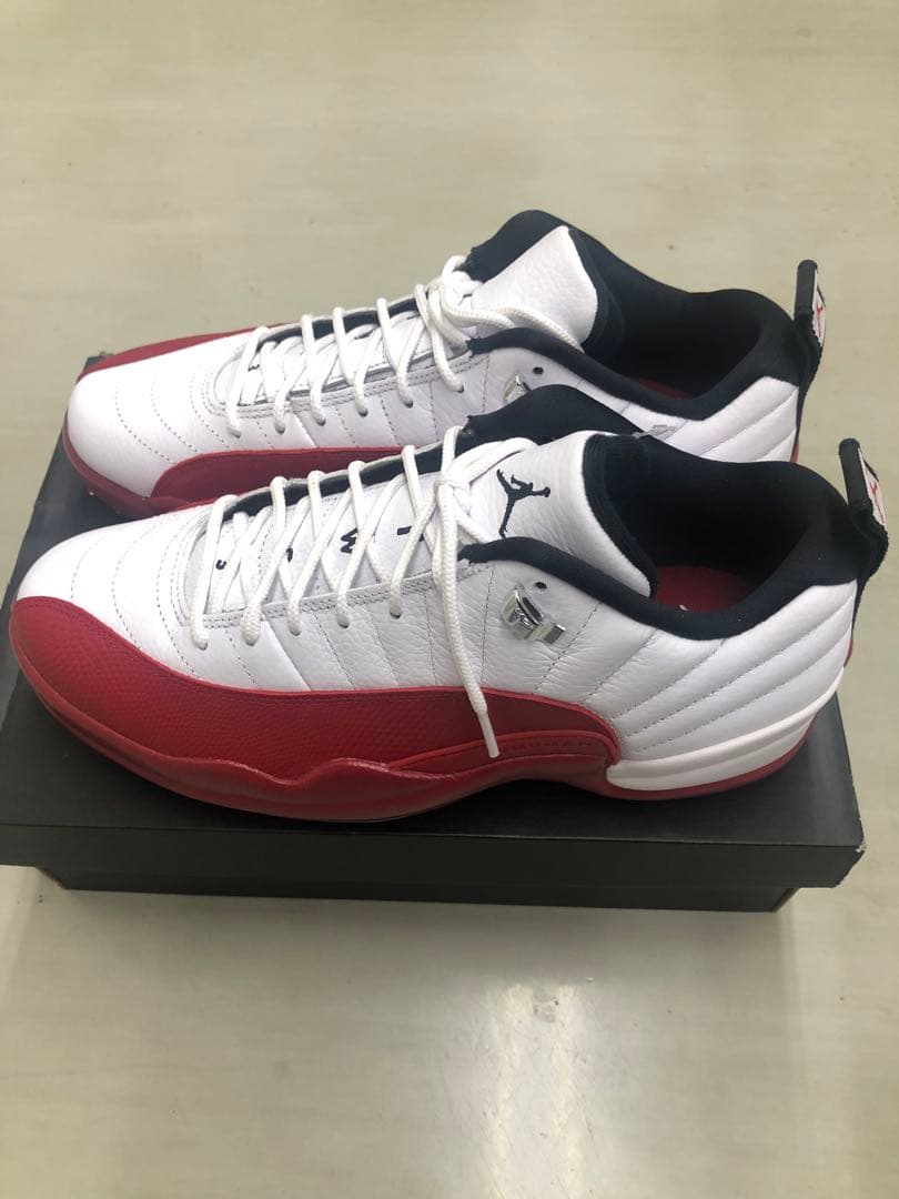 Jordan Air Jordan 12 ゴルフシューズ DH4120