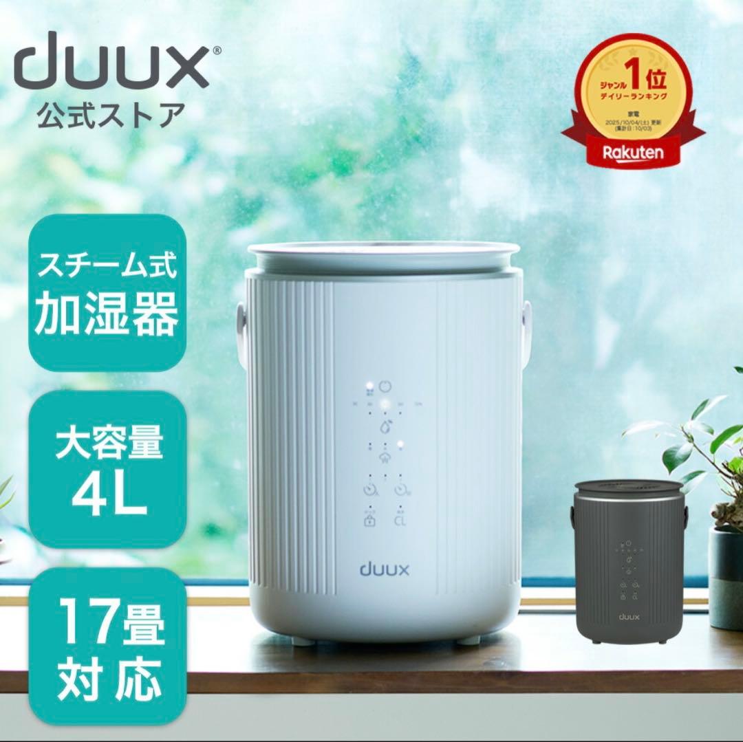 duux スチーム式加湿器 4L 大容量 置き型　デュクス