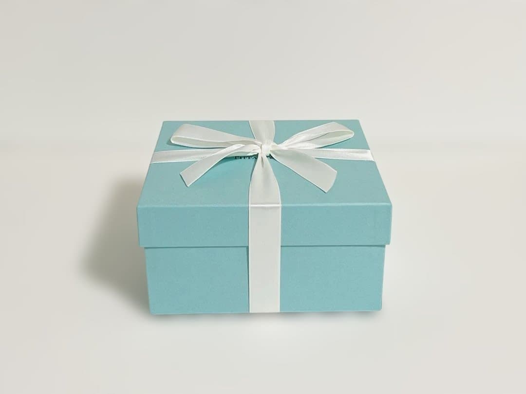 Tiffany & Co. 【新品・未使用】ボウル 2個セット