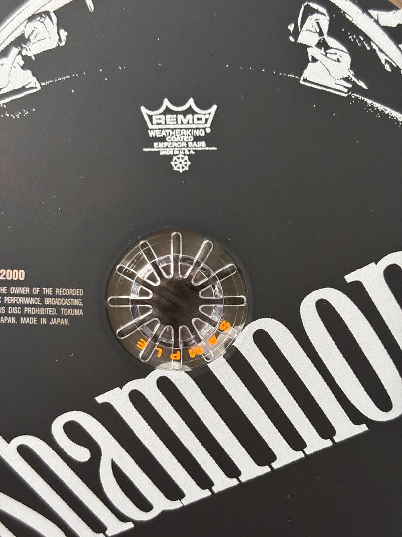 Shammon / CD 美品 サンプル盤