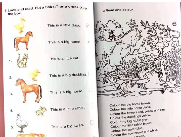 英語絵本　Early Reads - Black Cat - 29冊新品