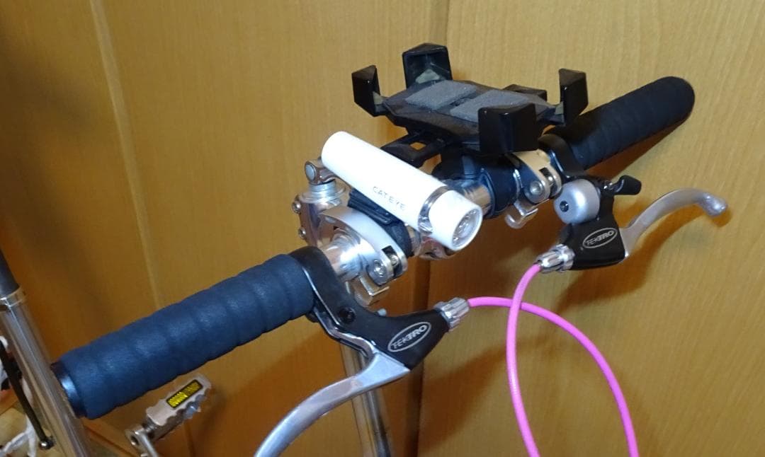 CarryMe キャリーミー　ポリッシュ　2013年式　室内保管　ブレーキ強化済