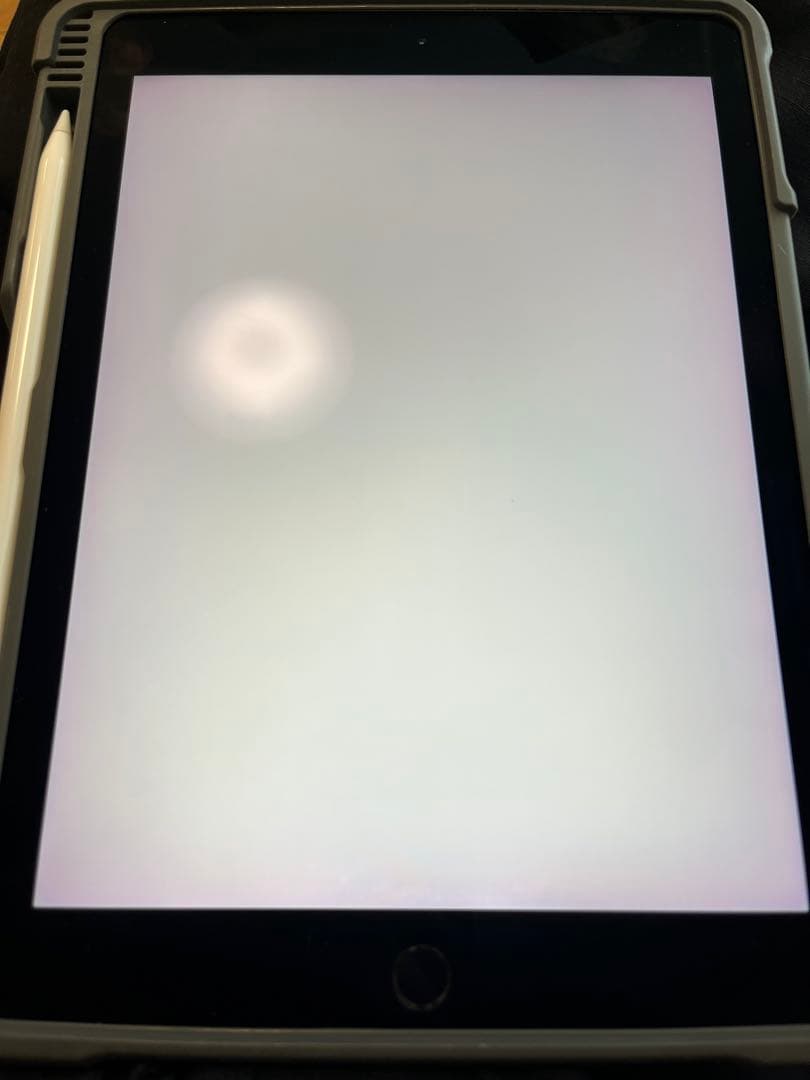 ち*ら様 128GB iPad Pro ( 9.7inch )+Apple Pe